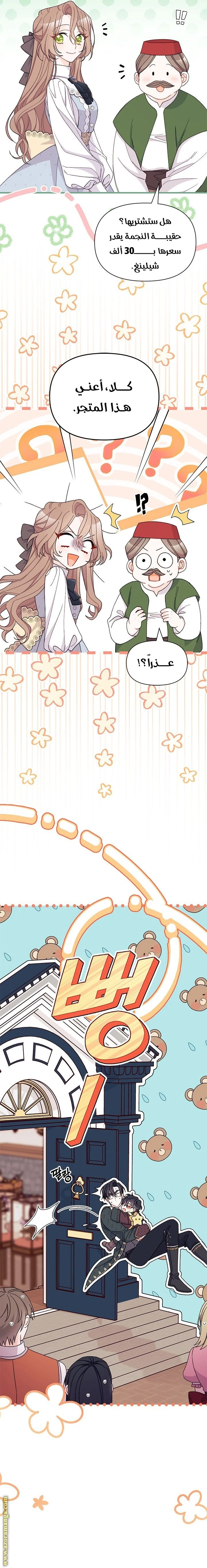 الصفحة 17