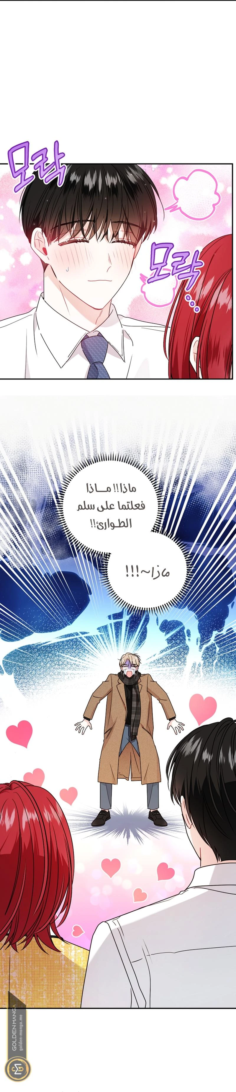 الصفحة 10