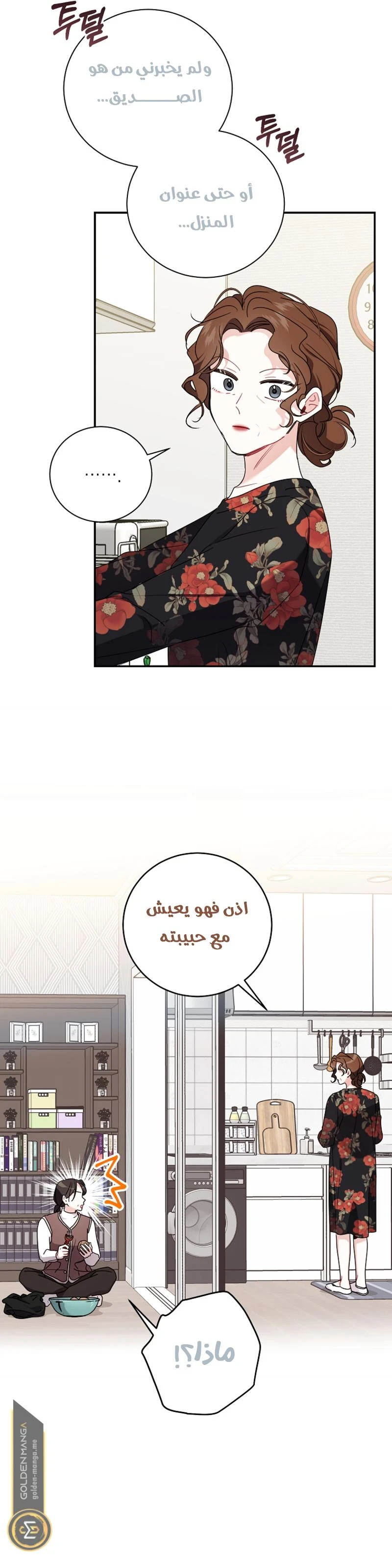 الصفحة 13