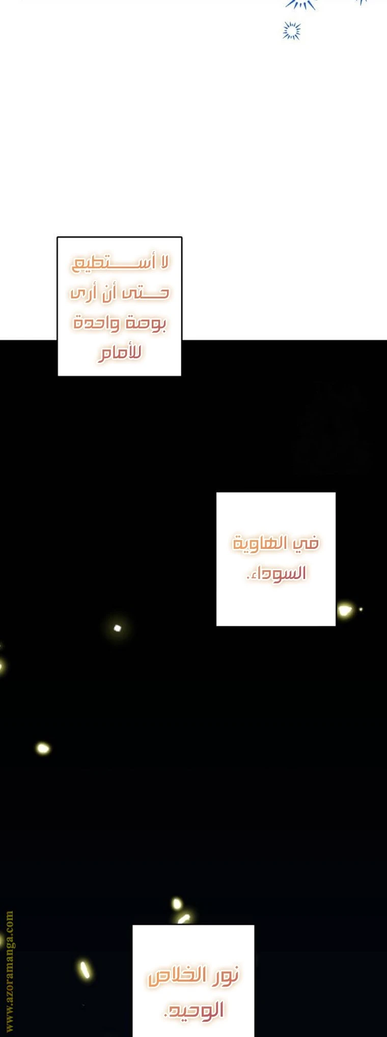 الصفحة 17