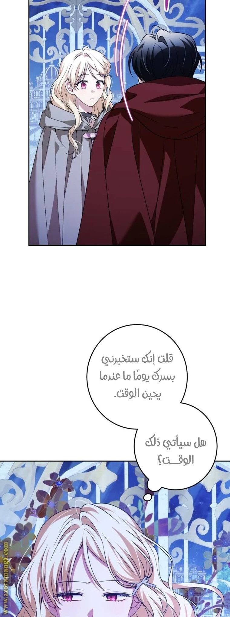 الصفحة 27
