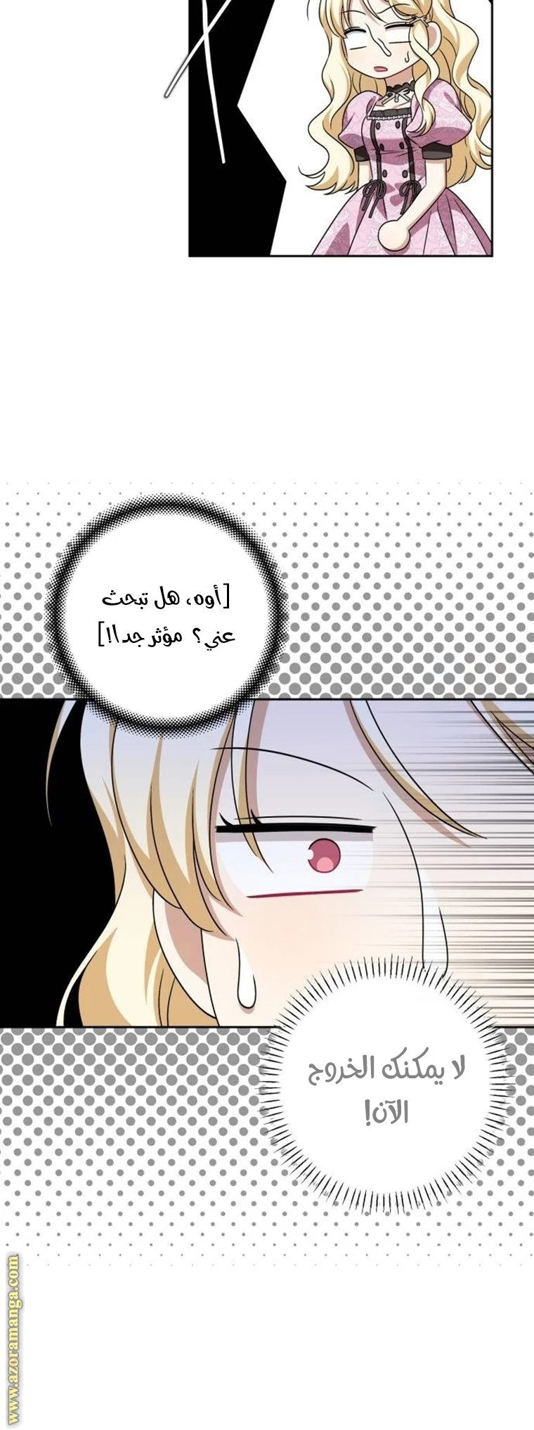الصفحة 41