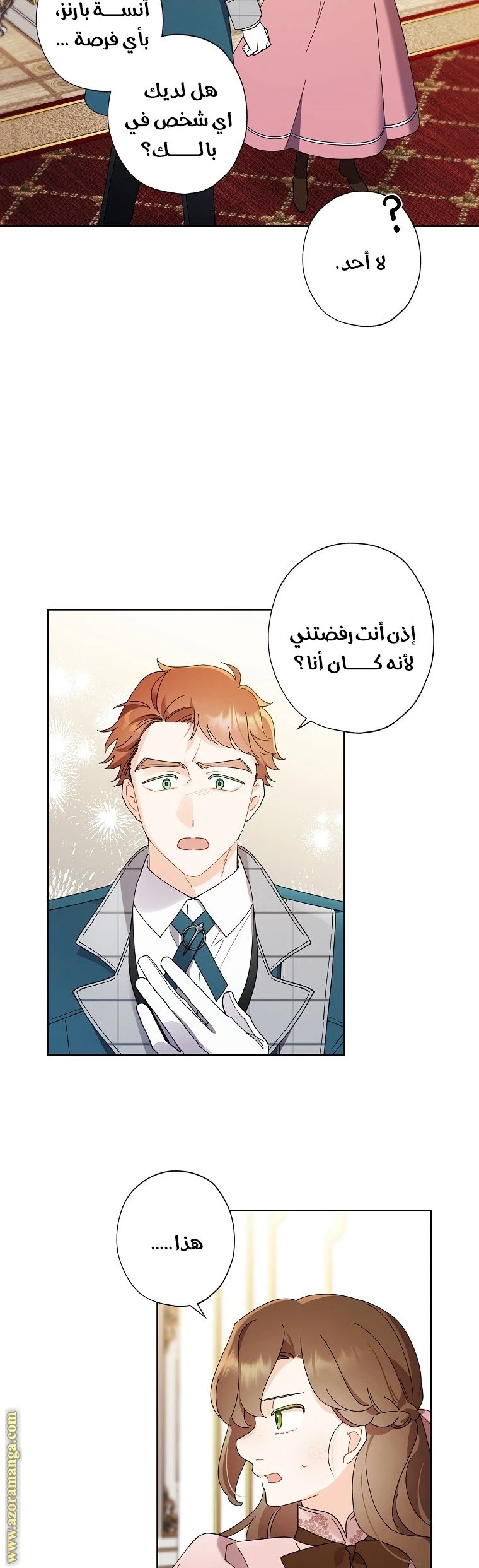 الصفحة 25