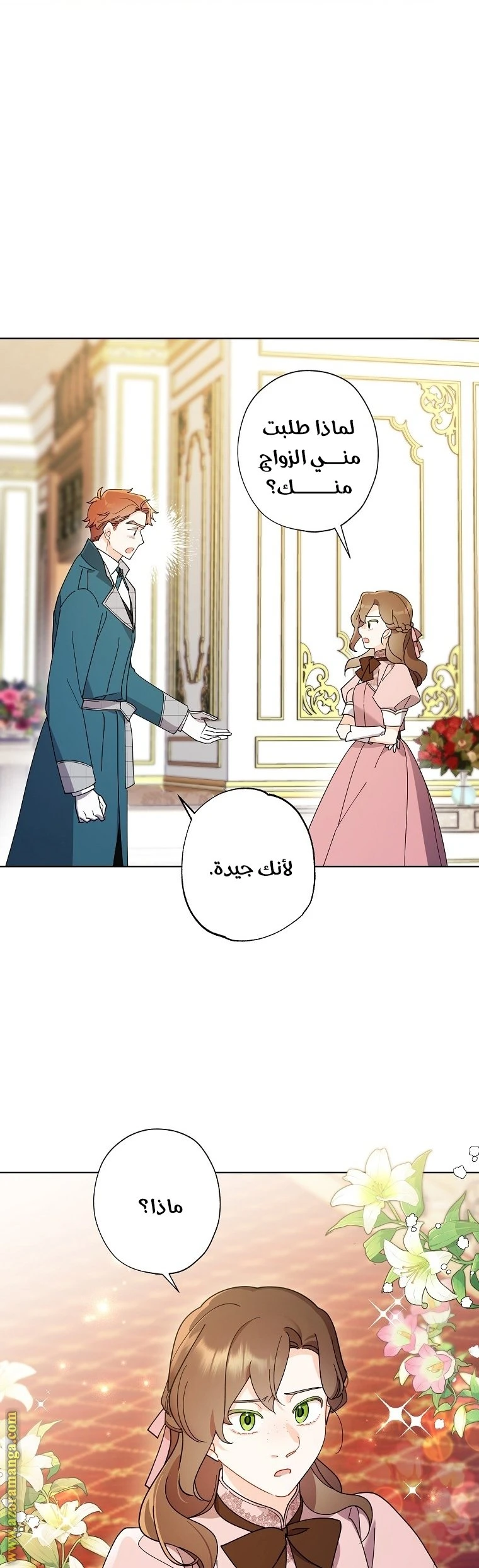 الصفحة 27