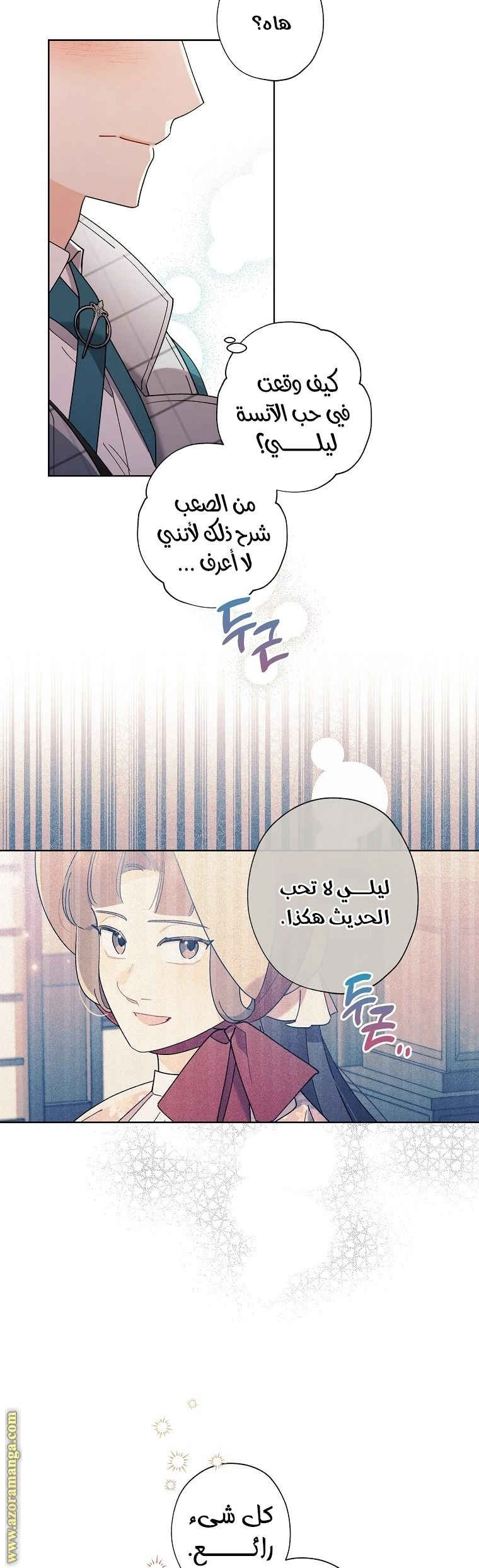 الصفحة 29