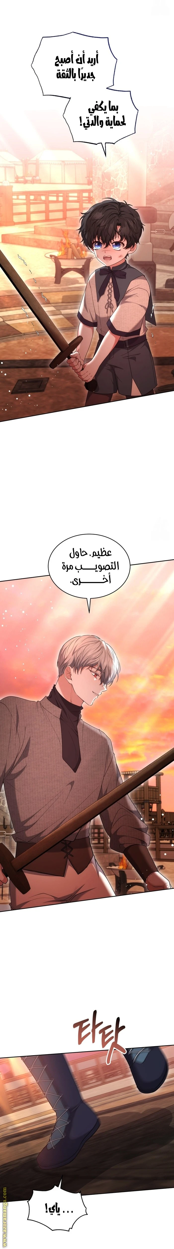 الصفحة 13