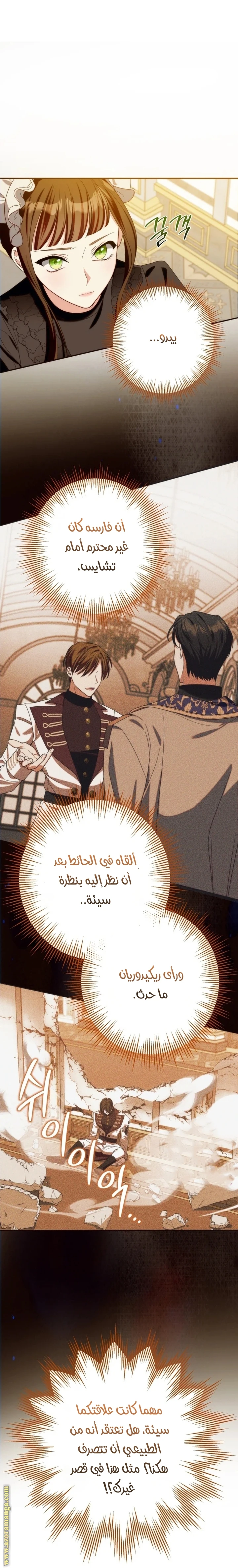 الصفحة 14