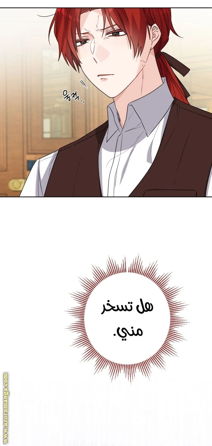 الصفحة 33