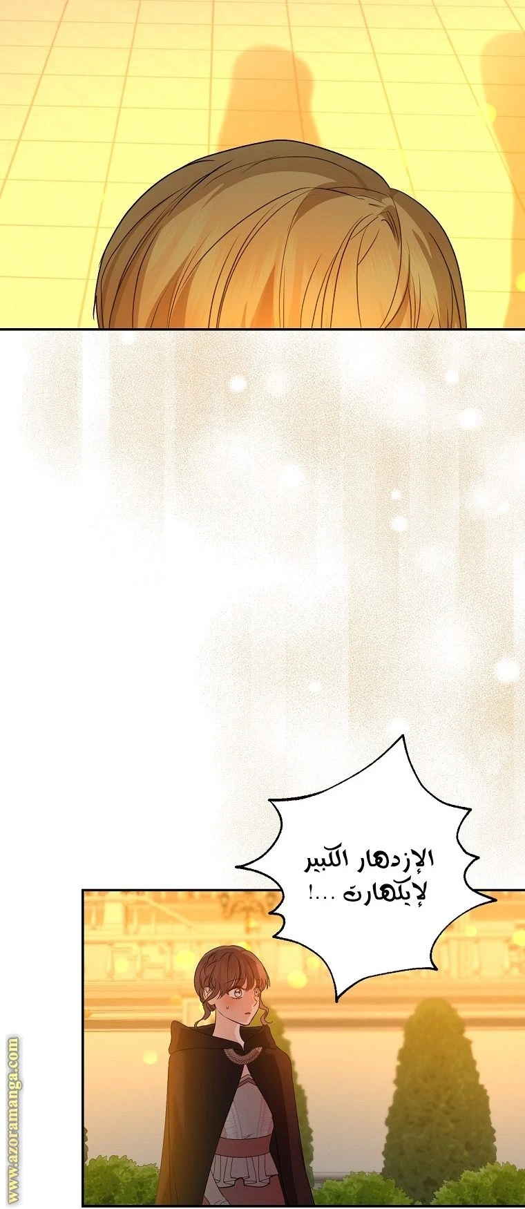الصفحة 13