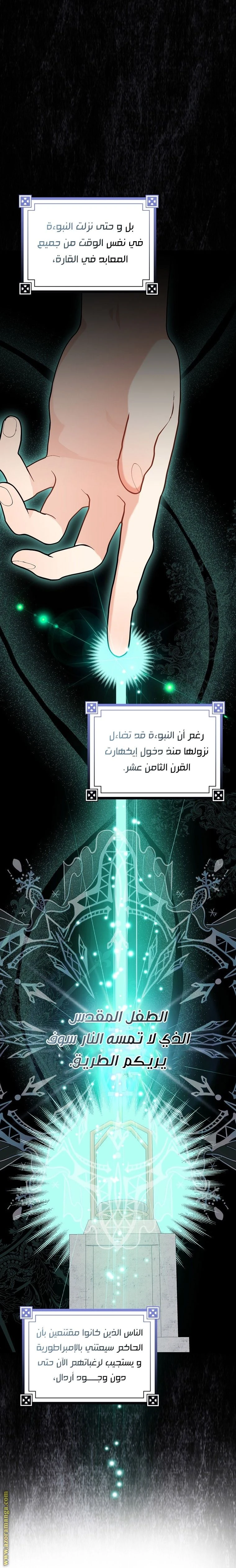 الصفحة 29