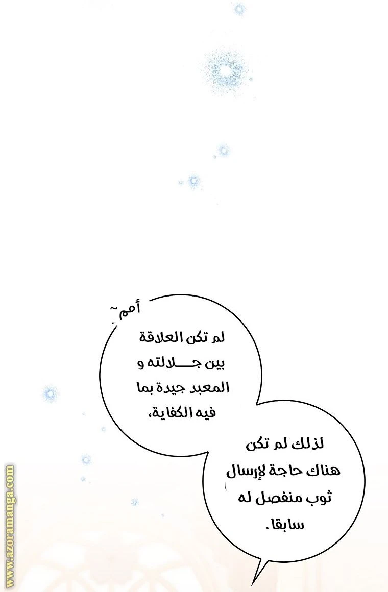 الصفحة 43