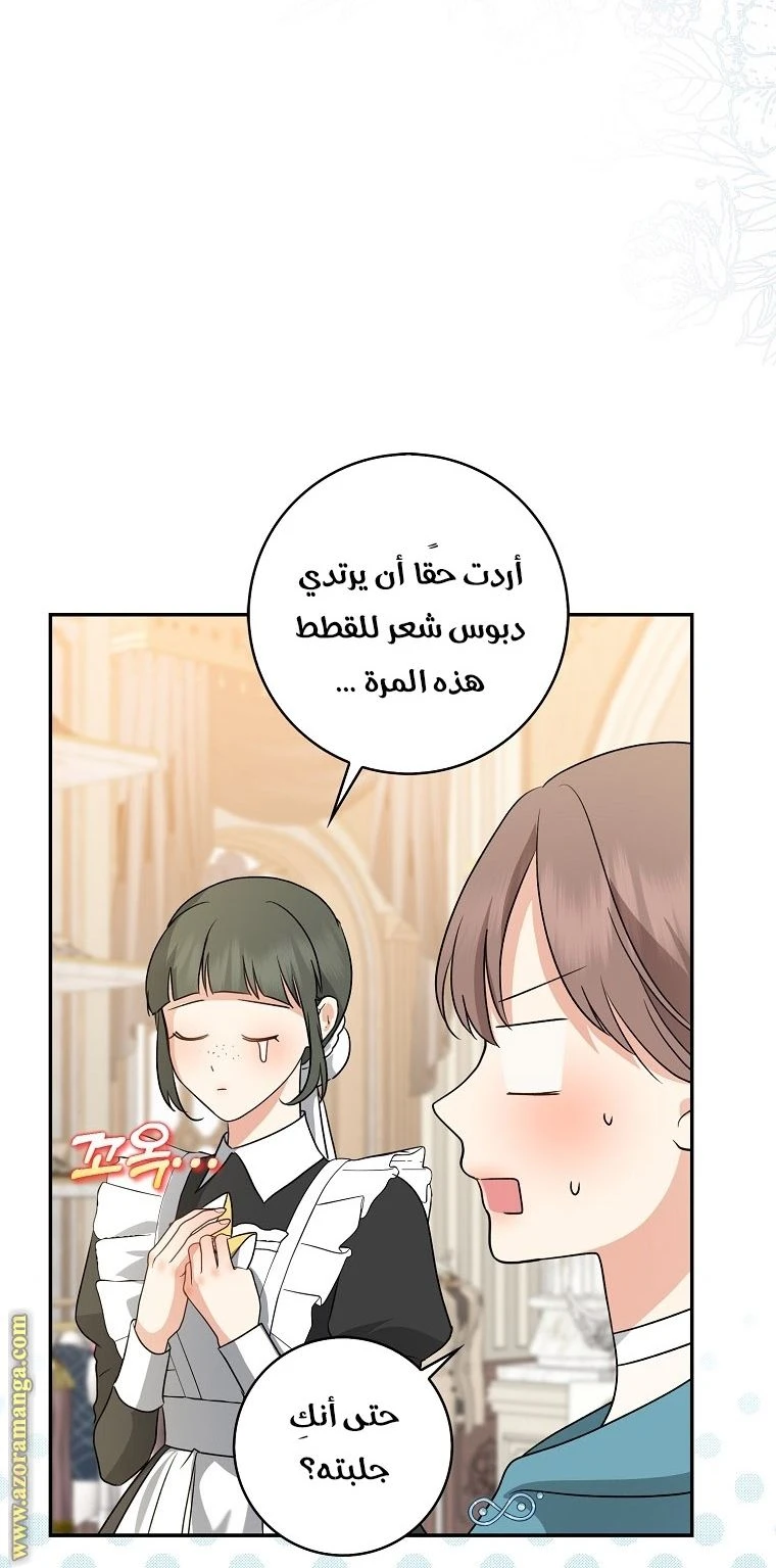 الصفحة 66