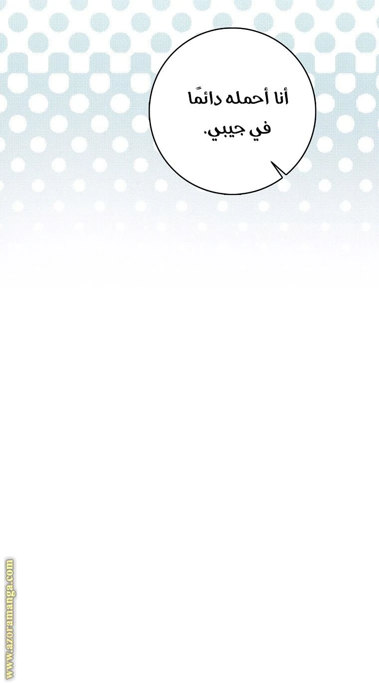 الصفحة 67
