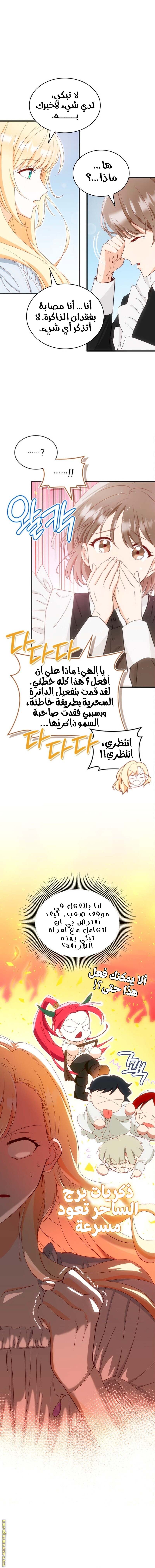 الصفحة 13