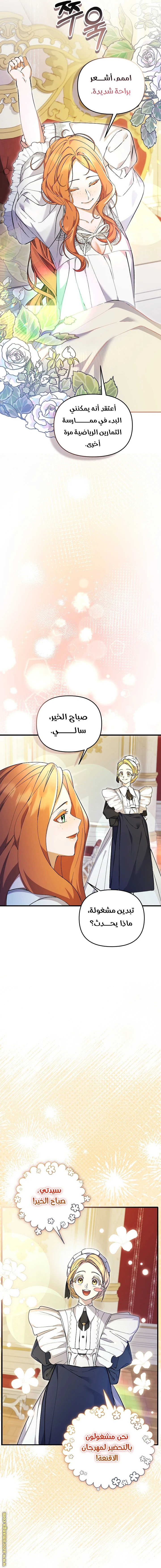 الصفحة 17