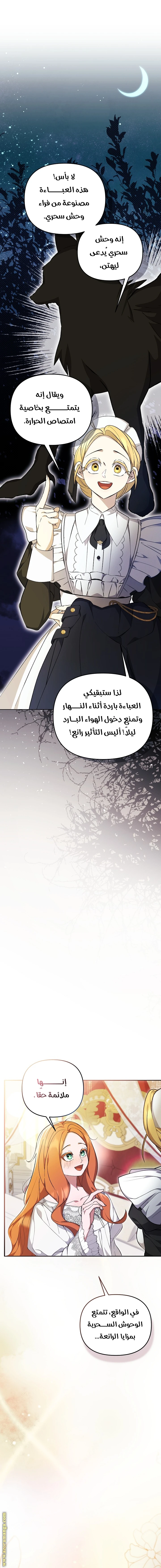 الصفحة 19