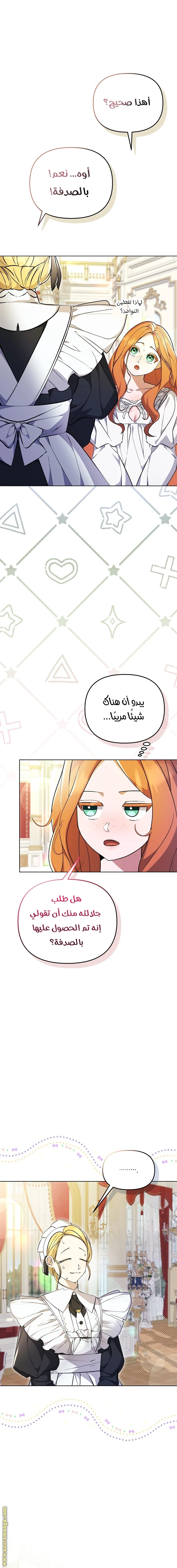 الصفحة 25