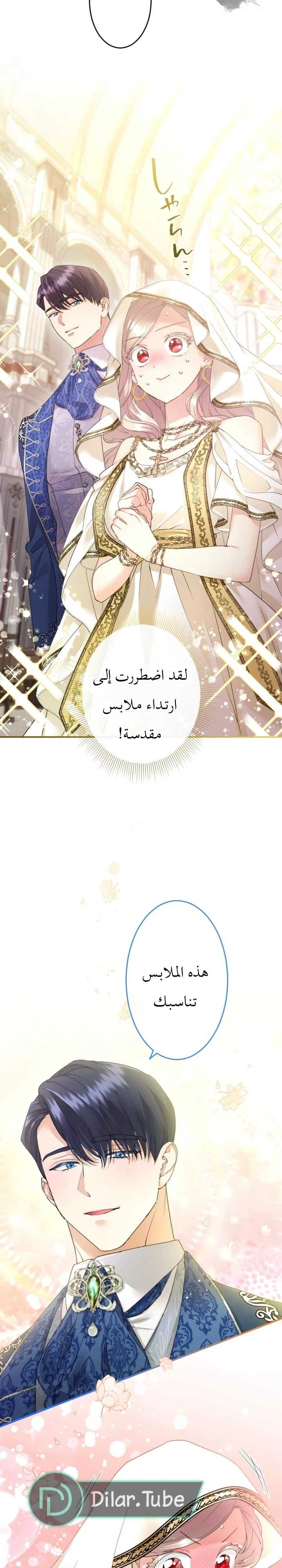 الصفحة 27