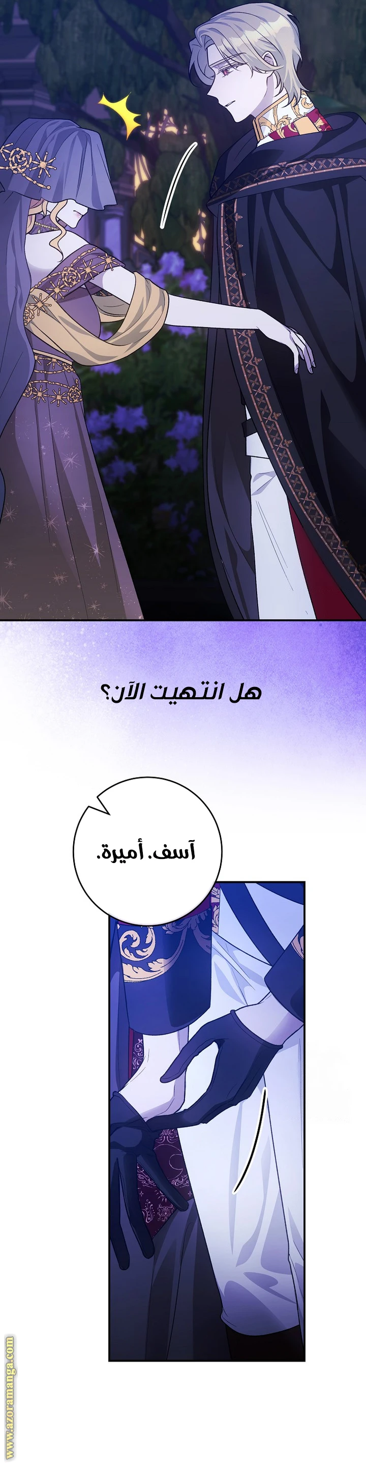 الصفحة 17