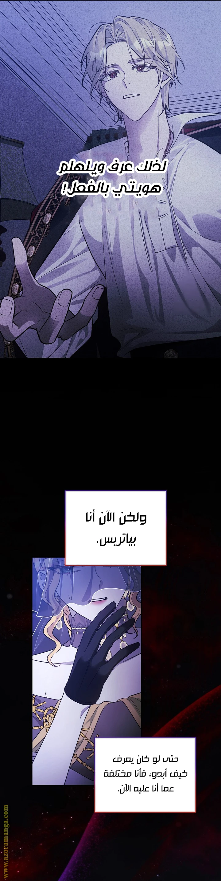 الصفحة 29