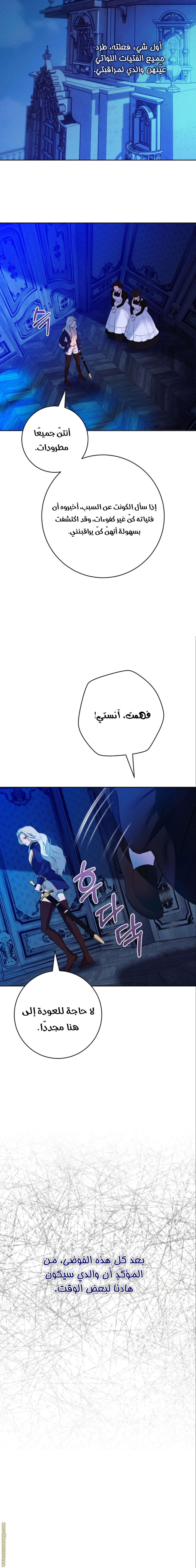 الصفحة 17