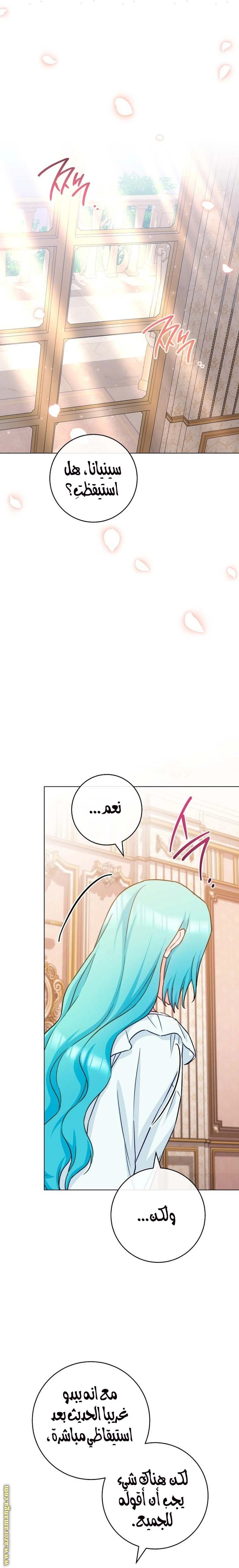 الصفحة 27