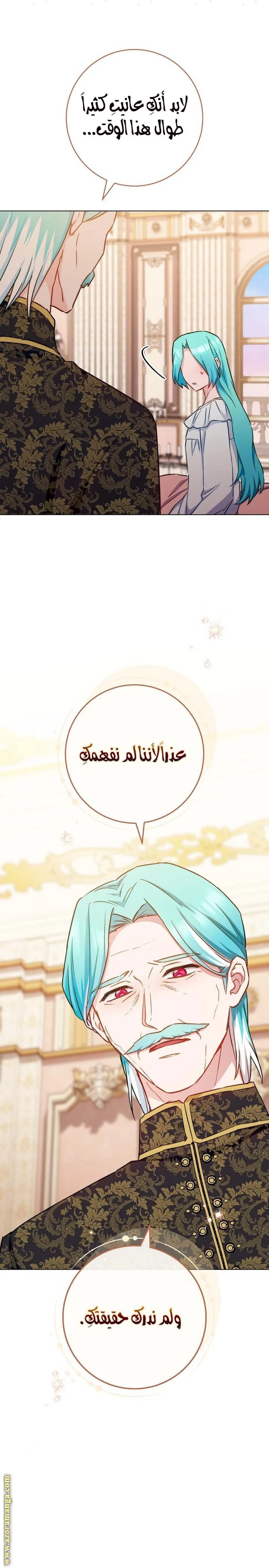 الصفحة 29