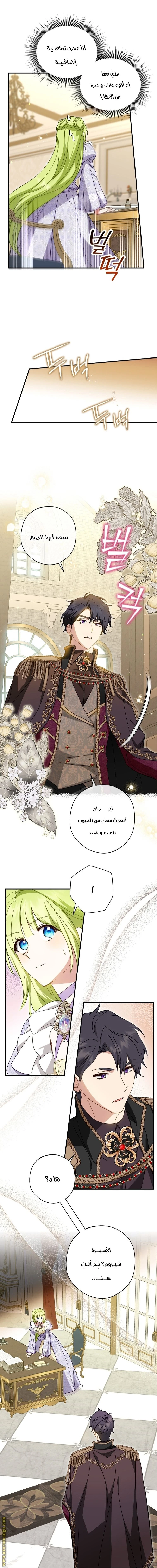 الصفحة 12