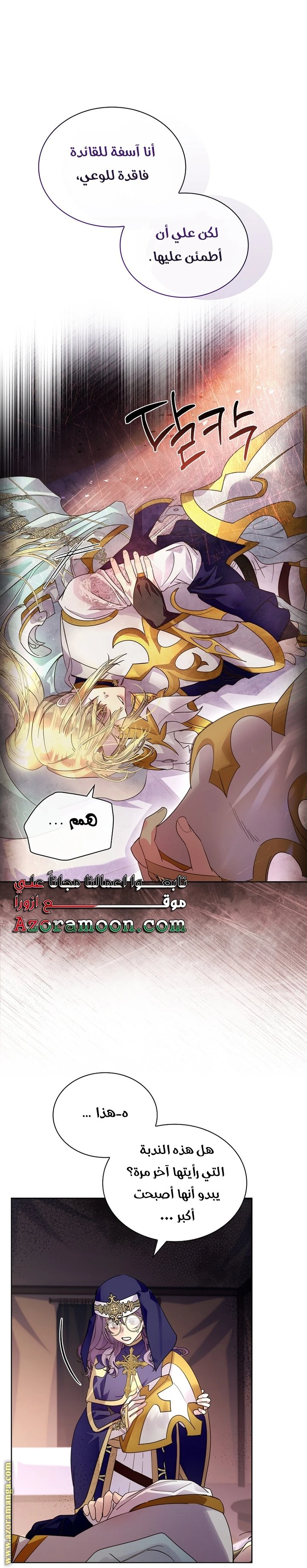 الصفحة 17