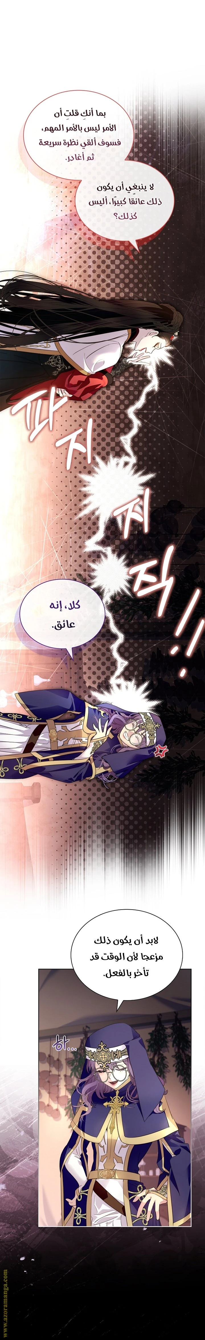 الصفحة 27