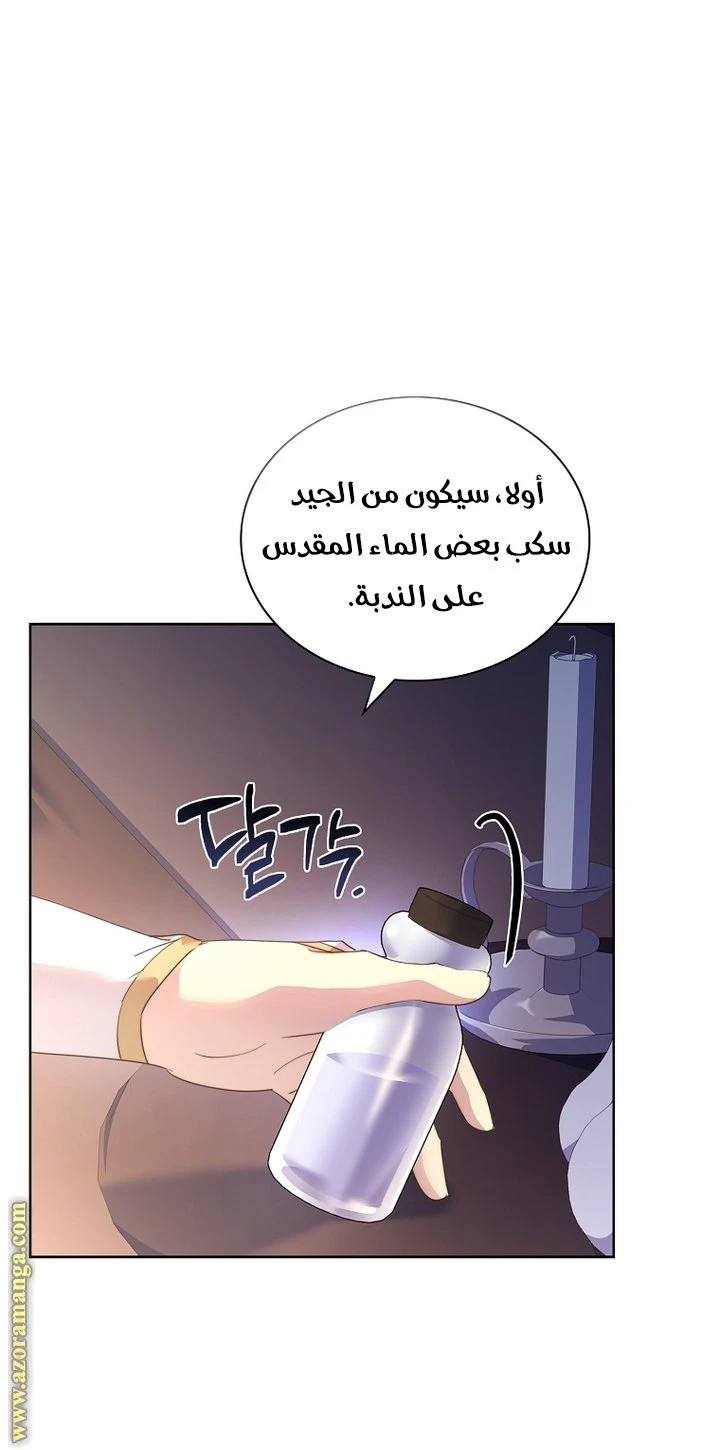 الصفحة 31