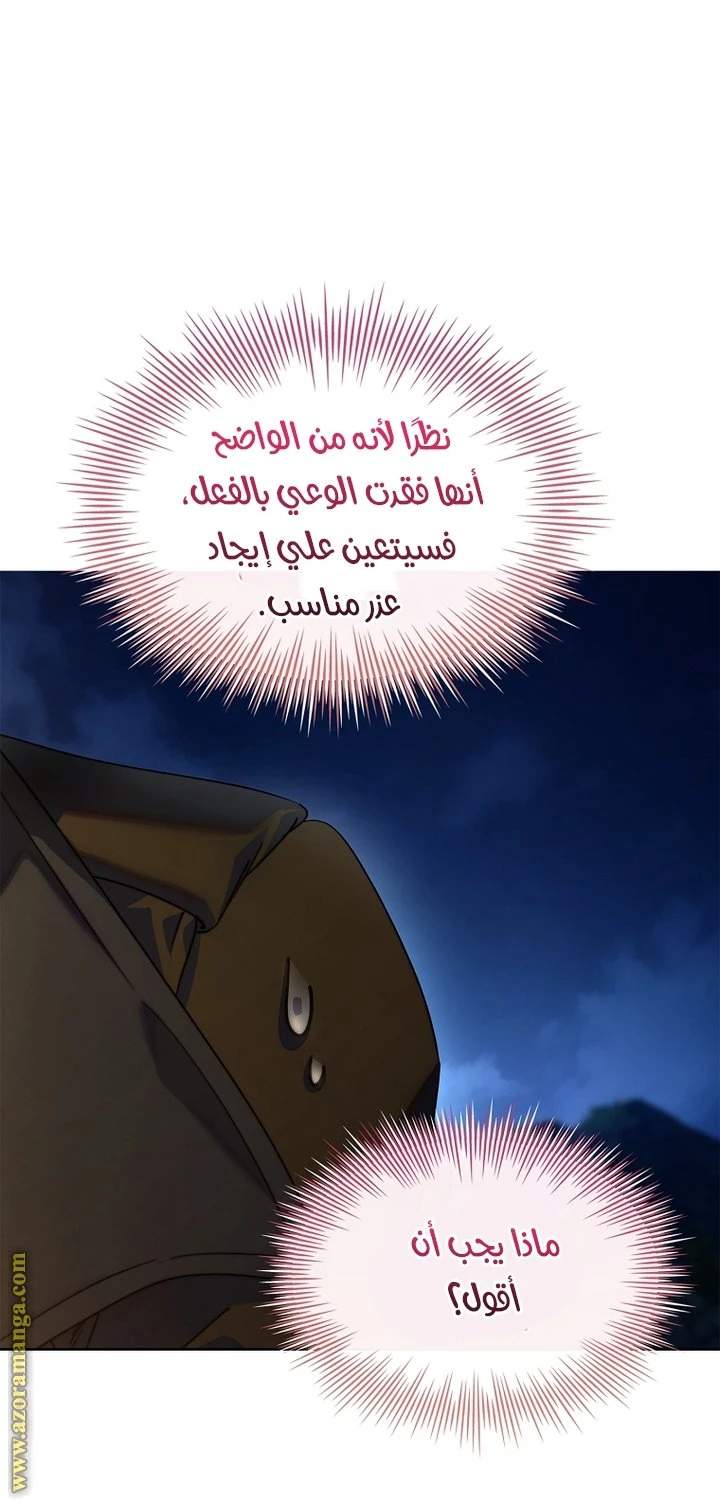الصفحة 39
