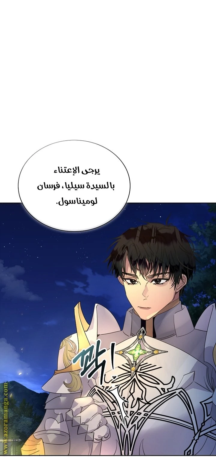 الصفحة 43