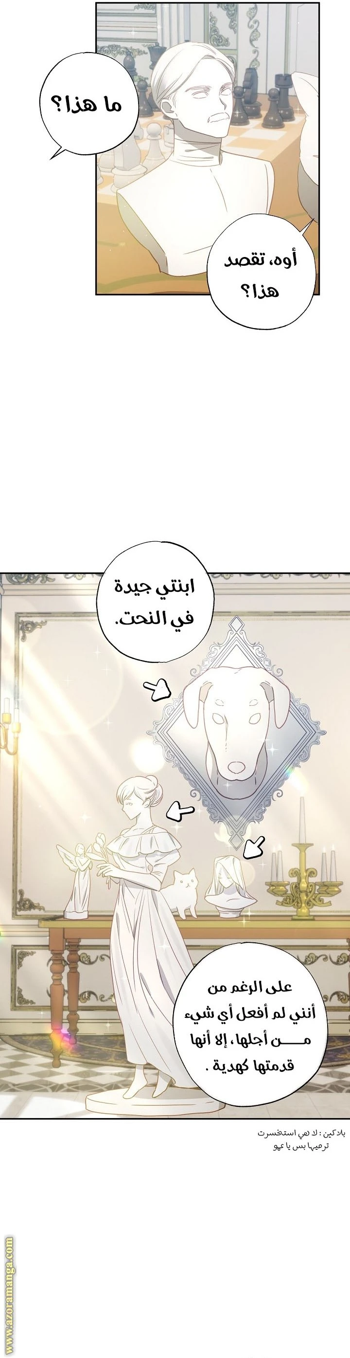 الصفحة 17