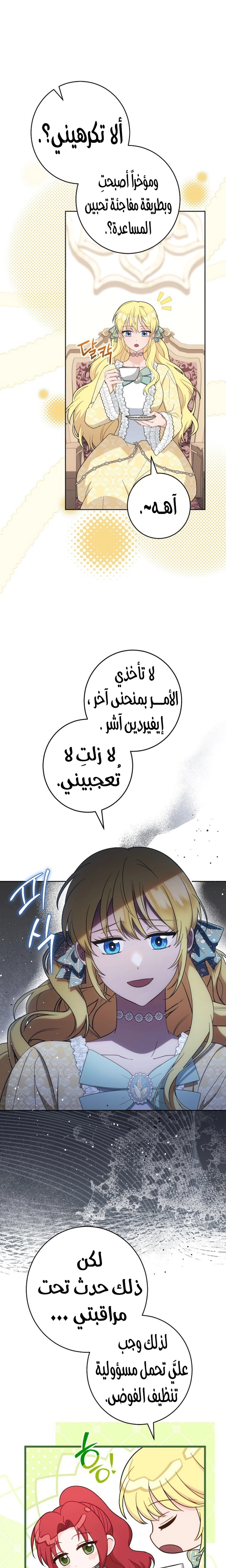 الصفحة 22