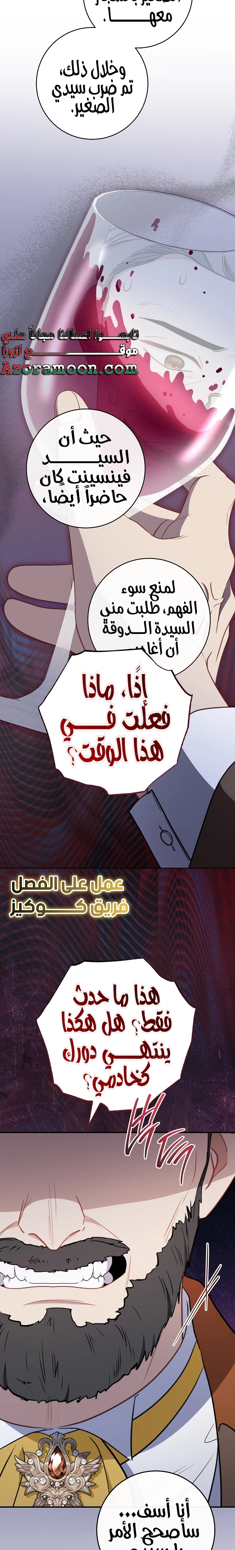 الصفحة 17