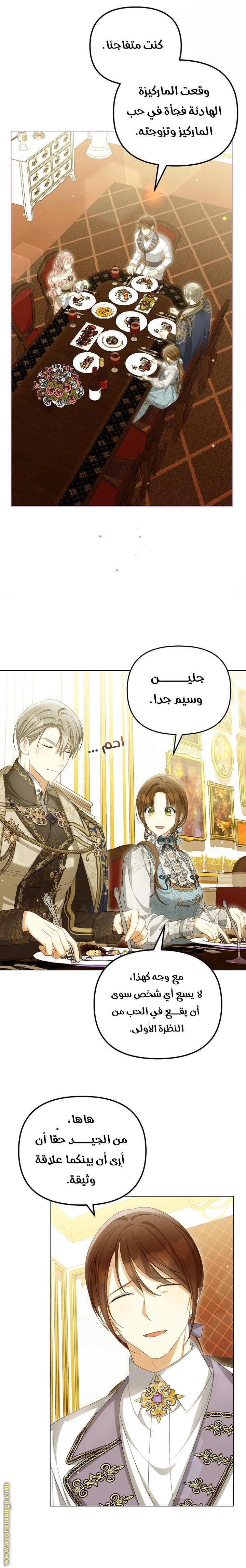 الصفحة 17