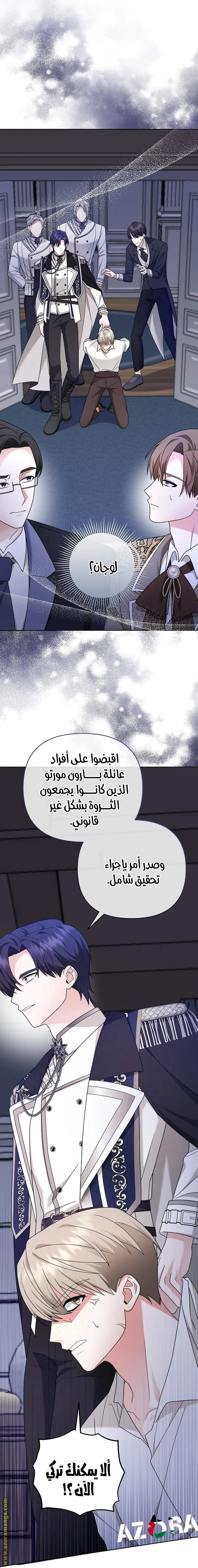 الصفحة 25