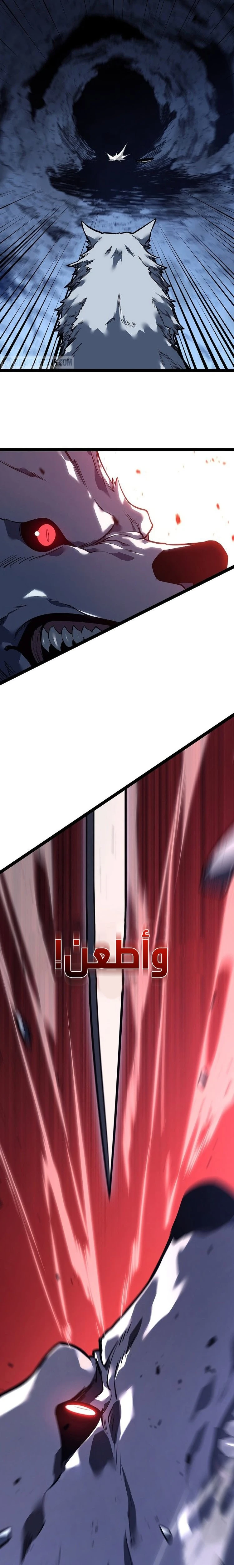 الصفحة 15