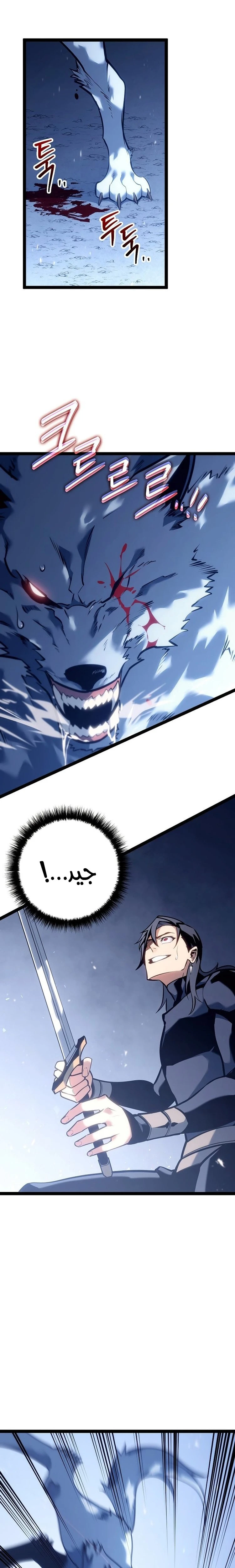 الصفحة 17