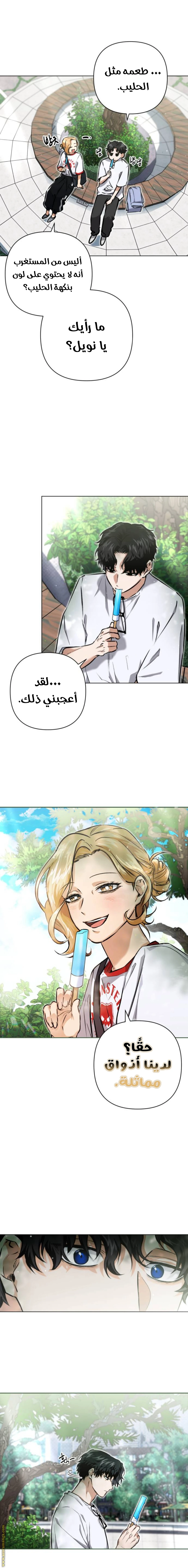 الصفحة 16