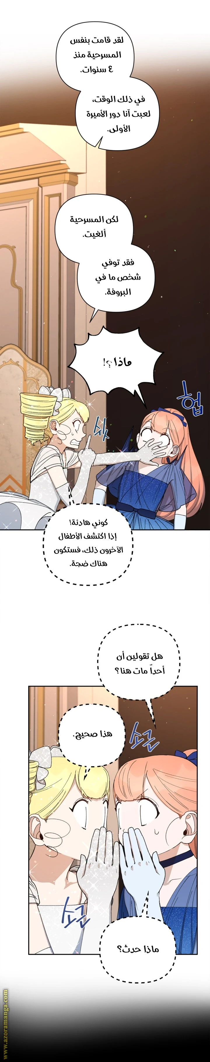الصفحة 17