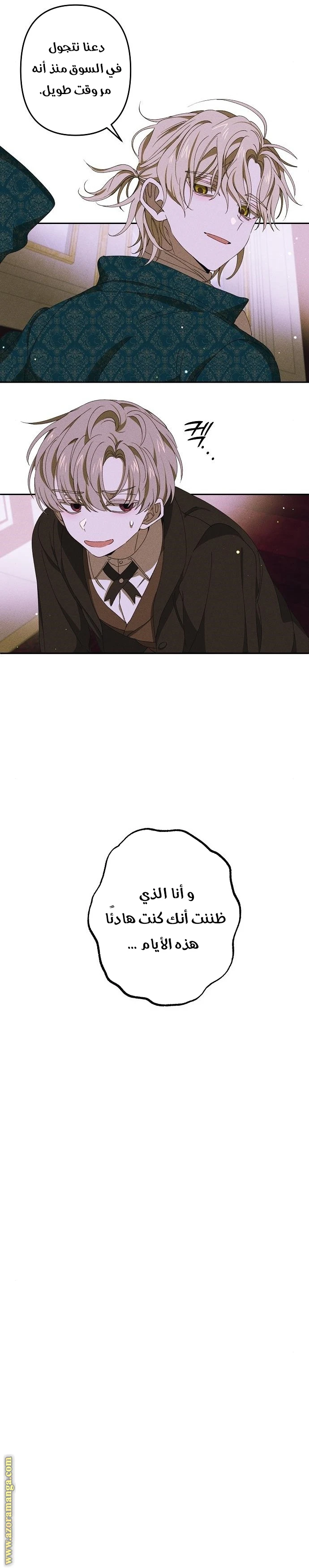 الصفحة 21