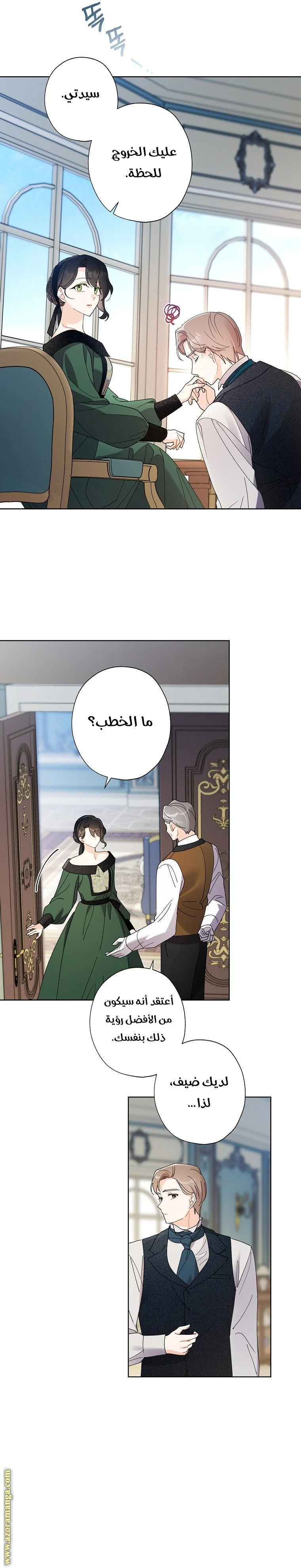 الصفحة 25