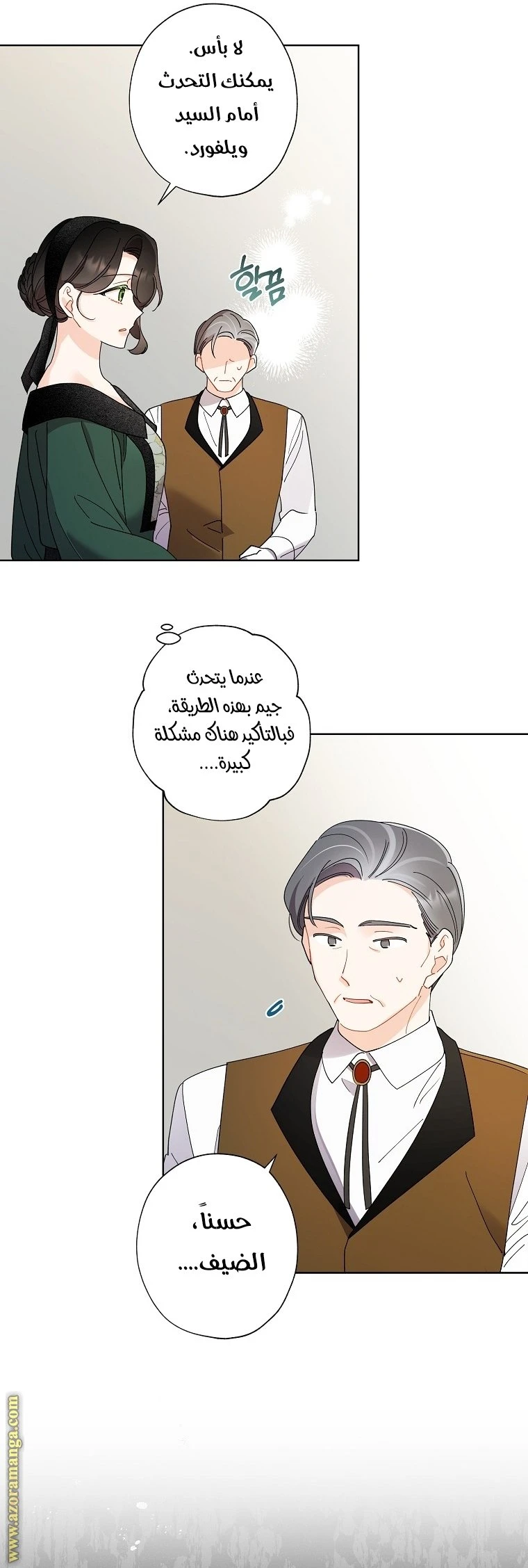الصفحة 26
