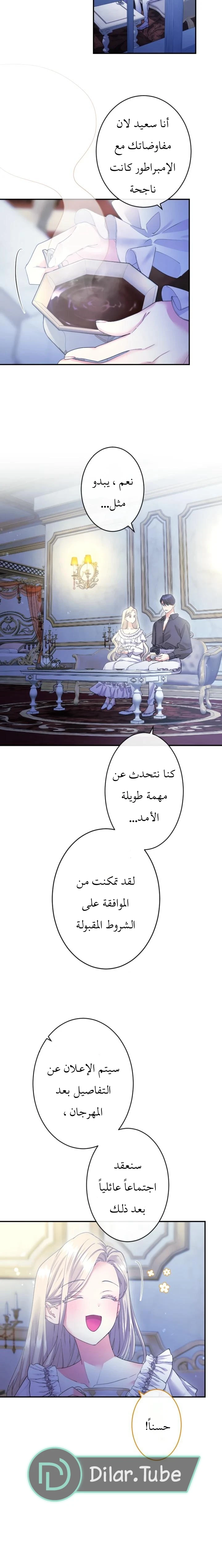 الصفحة 17