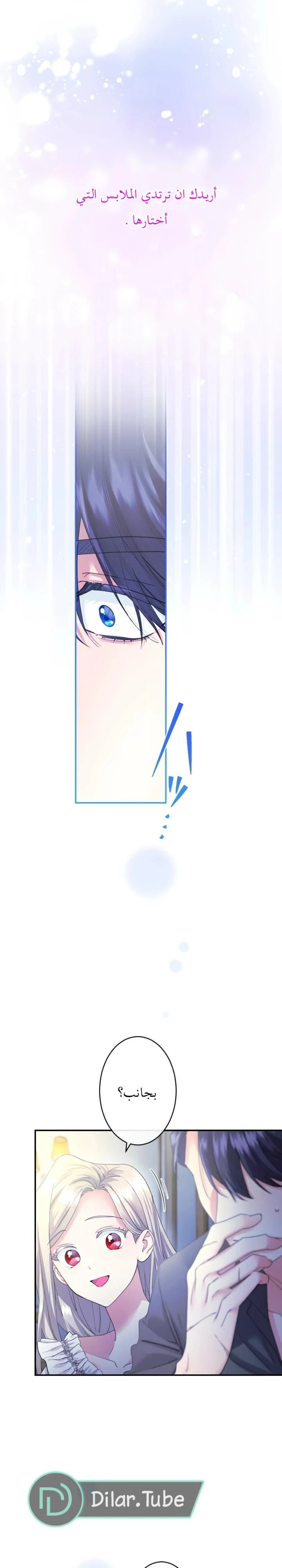 الصفحة 21