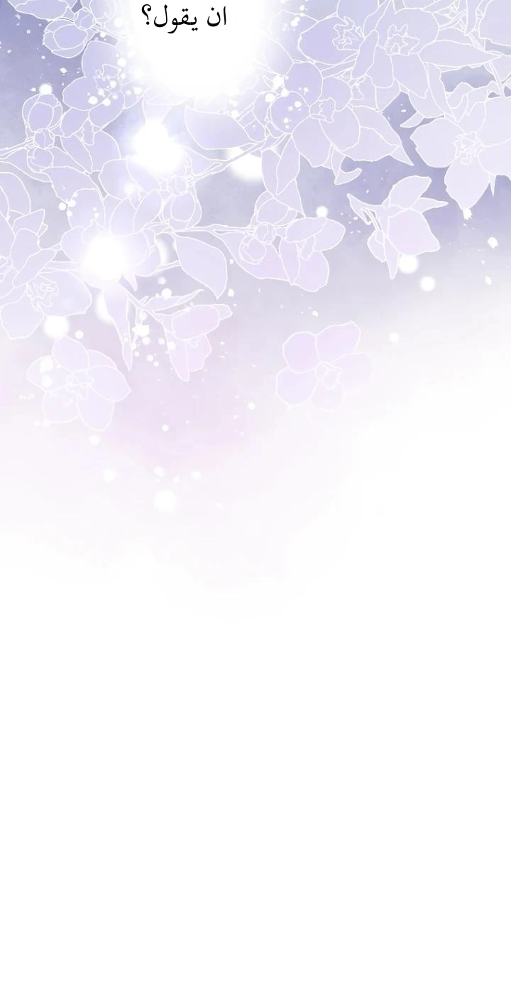 الصفحة 24