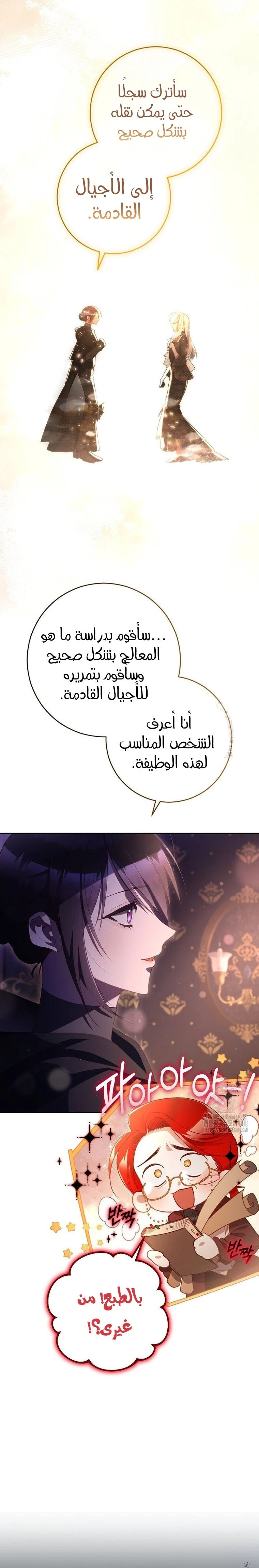 الصفحة 17
