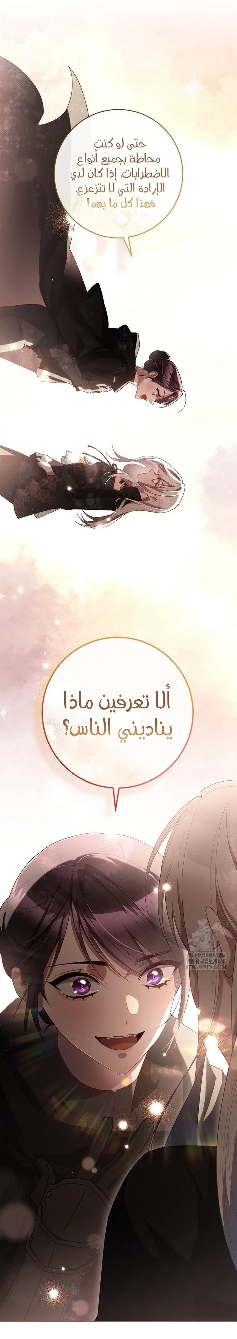الصفحة 24